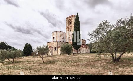 Ambulatorium mit radialen Kapellen, Glockenturm und hoher Zypresse zwischen Olivenbäumen in der Abtei Sant Antimo, Val d’Orcia, Italien. In Sepia Stockfoto