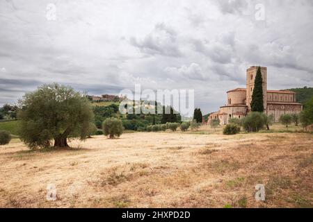 Abtei Sant Antimo (Abbazia di Sant'Antimo), in einem Tiefland inmitten von Olivenbäumen und Zypressen und auf einem Hügel eine Stadt Castelnuovo dell'Abate. Toskana, Italien Stockfoto