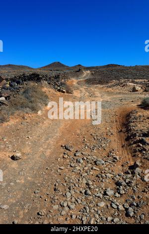 Vulkanisches Buschland nördlich von Costa Teguise, Lanzarote, Kanarische Inseln, Spanien. Stockfoto