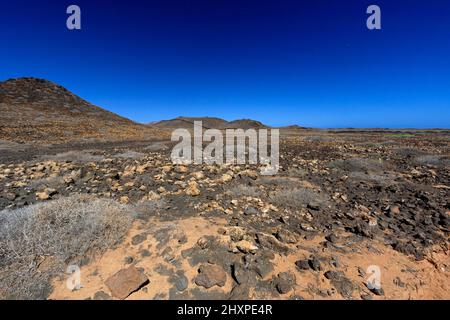 Vulkanisches Buschland nördlich von Costa Teguise, Lanzarote, Kanarische Inseln, Spanien. Stockfoto