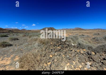 Vulkanisches Buschland nördlich von Costa Teguise, Lanzarote, Kanarische Inseln, Spanien. Stockfoto