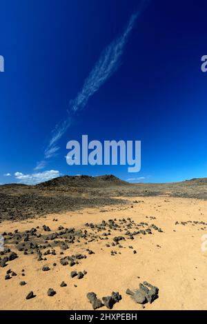 Vulkanisches Buschland nördlich von Costa Teguise, Lanzarote, Kanarische Inseln, Spanien. Stockfoto