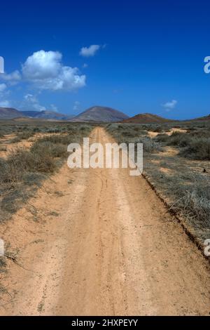 Vulkanisches Buschland nördlich von Costa Teguise, Lanzarote, Kanarische Inseln, Spanien. Stockfoto