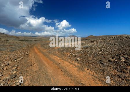 Vulkanisches Buschland nördlich von Costa Teguise, Lanzarote, Kanarische Inseln, Spanien. Stockfoto