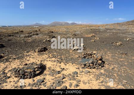 Vulkanisches Buschland nördlich von Costa Teguise, Lanzarote, Kanarische Inseln, Spanien. Stockfoto