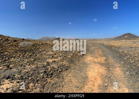 Vulkanisches Buschland nördlich von Costa Teguise, Lanzarote, Kanarische Inseln, Spanien. Stockfoto