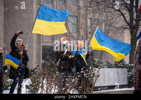 Toronto, Kanada. 13. März 2022. Demonstranten halten ukrainische Flaggen während der Demonstration. Tausende marschieren zum US-Konsulat zu einer ìNo Fly Zoneî-Kundgebung in Toronto, Kanada. Nach dem Einmarsch der Russiaís in die Ukraine wurden weltweit Proteste organisiert. Kredit: SOPA Images Limited/Alamy Live Nachrichten Stockfoto