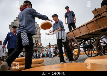 Eine Gruppe junger Menschen ist dafür verantwortlich, den Käse in Karren zu platzieren Stockfoto