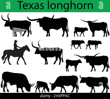 Sammlung von Silhouetten von texas Longhorn Rinder Rasse Stock Vektor