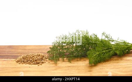 Frischer Fenchel und seine Samen auf Holzbrett mit weißem Hintergrund, Foeniculum vulgare, aromatische Pflanze Stockfoto