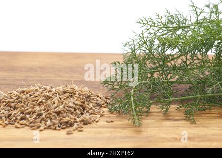 Frischer Fenchel und seine Samen auf Holzbrett mit weißem Hintergrund, Foeniculum vulgare, aromatische Pflanze Stockfoto