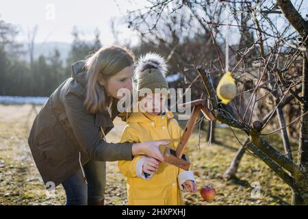 Junge mit Down-Syndrom, der im Winter mit seiner Mutter Vögel im Garten füttert. Stockfoto