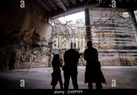 SYDNEY, March 14, 2022 (Xinhua) -- Menschen besuchen die Biennale von Sydney 'rivus' in der Art Gallery of New South Wales (NSW) in Sydney, Australien, am 13. März 2022. Die Biennale von Sydney 23. findet vom 12. März bis 13. Juni statt, wobei mehr als 330 Kunstwerke von über 80 Teilnehmern während der Veranstaltung präsentiert werden. (Foto von Hu Jingchen/Xinhua) Stockfoto