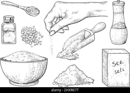 Meersalz Vintage Gravur, Würze von Lebensmitteln in Löffel und Schüssel. Handgezeichnetes Salzkristallpulver in der Hand, Holzlöffel mit Salz-Vektor-Skizze-Set. Salzstreuer, Behälter und Verpackung für Kristalle Stock Vektor