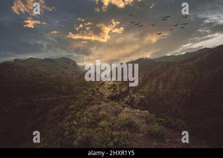 Wandern auf Teneriffa - wunderschöner Sonnenuntergang auf der Bergkette - in der Nähe des masca Canyon, Vögel, Wanderer Stockfoto