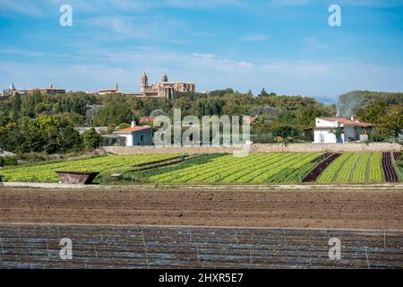 Blick über eine kleine Salatfarm in Richtung Pamplona mit der Kathedrale von Pamplona in der Ferne in Navarra, Spanien Stockfoto