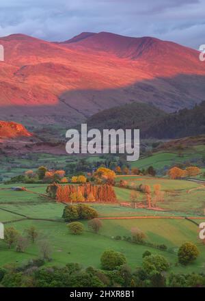 Schönes Abendlicht, das grüne Weiden auf dem Land mit leuchtendem rotem Abendlicht auf der Helvellyn-Bergkette im Lake District, Großbritannien, beleuchtet. Stockfoto