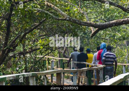 Touristen, die auf dem erhöhten Holzsteg in den Sundarbans spazieren Stockfoto