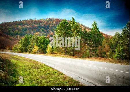 Landschaft mit schöner Straße durch den Wald mit bunten Bäumen. Durmitor, Montenegro Stockfoto