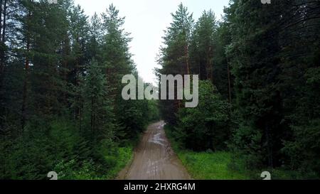 Blick von einem Hubschrauber . Clip. Ein riesiger grüner Wald, mit einer schlammigen Straße mit Pfützen und einem hellen Himmel über dem Hotel. Stockfoto