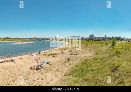 Strand am Fluss waal, Nijmegen, Gelderland, Niederlande *** Ortsüberschrift *** Landschaft, Wasser, Sommer, Strand, Menschen, Stockfoto