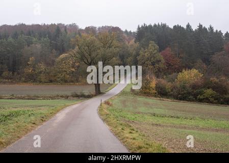 Eine kurvenreiche Asphaltstraße an einem regnerischen Tag im Herbst in einer ländlichen Landschaft Stockfoto