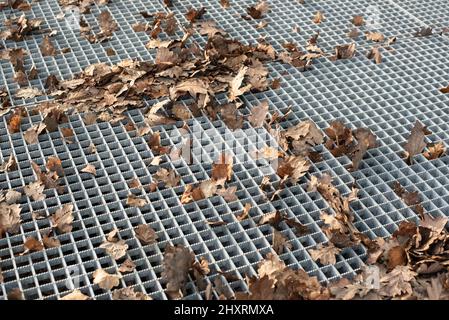 Die abgefallenen trockenen Blätter im Herbst auf dem metallischen Gitter auf dem Bürgersteig Stockfoto