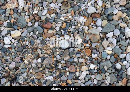 Kiesstrand in Llandudno Stockfoto