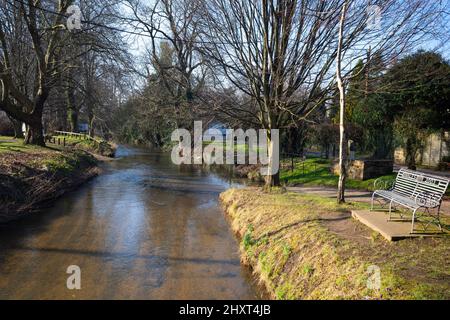 Der Fluss Leven, der in der Nähe des Zentrums der Stadt Stokesley North Yorkshire durch den Wald fließt, bei Frühlingssonne Stockfoto