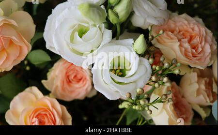 Sommer blüht zarte Rosen, Blumen festlichen Hintergrund, Pastell und weichen Blumenstrauß Karte Stockfoto