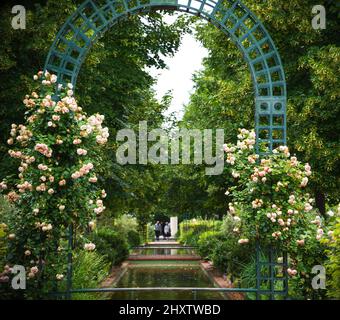 Metapher für die lebenslange Liebe. Bogen überwuchert mit verblassten Rosen. Seniorenpaar im Hintergrund. Park mit Teich in Paris, Frankreich. Stockfoto