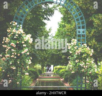 Metapher für die lebenslange Liebe. Bogen überwuchert mit verblassten Rosen. Seniorenpaar im Hintergrund. Park mit Teich in Paris, Frankreich. Stockfoto