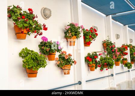 Berühmter öffentlicher Brunnen in Mojacar an der Costa Blanca, Spanien Stockfoto