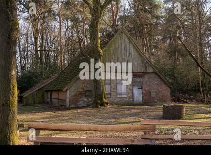 Alte Scheune im Wald in den niederlanden im Winter Stockfoto