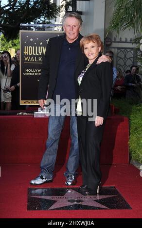 Gary Busey und Maria Elena Holly posieren als Buddy Holly wird am 07. September 2011 auf dem Hollywood Walk of Fame vor dem Capital Records Building in Hollywood, Kalifornien, geehrt. Stockfoto