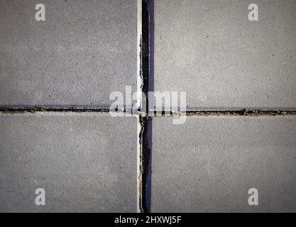 Große quadratische Betonplatten. Gehweg. Draufsicht. Hintergrund der Textur Stockfoto