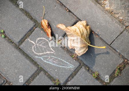 Trocken gefallene Blätter liegen auf dem Gehsteig in der Nähe der kalkgezeichneten Herbstblätter. Kinder zeichnen. Herbstkonzept. Stockfoto