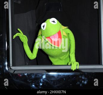Kermit the Frog bei der Premiere von „The Muppets“ im El Capitan Theatre in Los Angeles, USA. Stockfoto