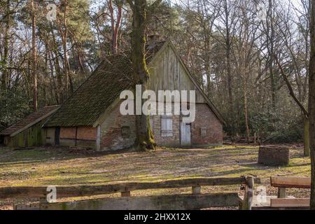 Alte Scheune im Wald in den niederlanden im Winter Stockfoto