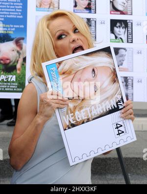 Pamela Anderson nahm an der Enthüllung „Peta goes Postal“ vor dem POSTAMT VON LA in Los Angeles, USA, Teil Stockfoto