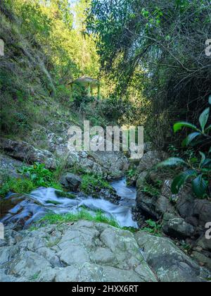 Foto zeigt eine felsige Schlucht, in der ein Gebirgsfluss fließt. Der Fluss fließt durch riesige Steinblöcke. Die bezaubernde Tierwelt der karibischen Insel begeistert Stockfoto