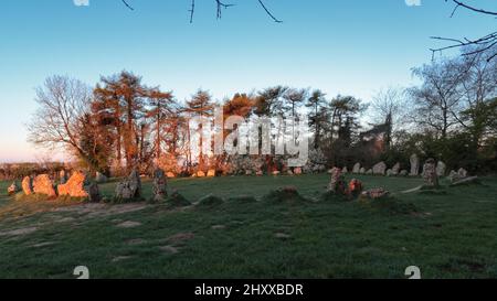 Rollright Steinkreis mit Morgenlicht, in der Nähe von Chipping Norton, England Stockfoto