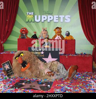 Die Muppets, Tier, Pepe, Miss Piggy, Fozzie, Gonzo, Kermit, Walter und Sweetums bei der Muppets Hollywood Walk of Fame Star Ceremony in Los Angeles Stockfoto