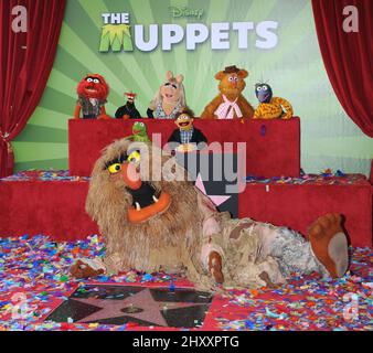 Die Muppets, Tier, Pepe, Miss Piggy, Fozzie, Gonzo, Kermit, Walter und Sweetums bei der Muppets Hollywood Walk of Fame Star Ceremony in Los Angeles Stockfoto