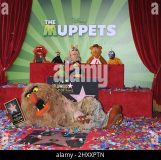 Die Muppets, Tier, Pepe, Miss Piggy, Fozzie, Gonzo, Kermit, Walter und Sweetums bei der Muppets Hollywood Walk of Fame Star Ceremony in Los Angeles Stockfoto
