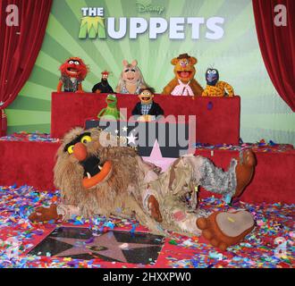 Die Muppets, Tier, Pepe, Miss Piggy, Fozzie, Gonzo, Kermit, Walter und Sweetums bei der Muppets Hollywood Walk of Fame Star Ceremony in Los Angeles Stockfoto