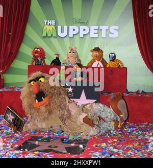 Die Muppets, Tier, Pepe, Miss Piggy, Fozzie, Gonzo, Kermit, Walter und Sweetums bei der Muppets Hollywood Walk of Fame Star Ceremony in Los Angeles Stockfoto