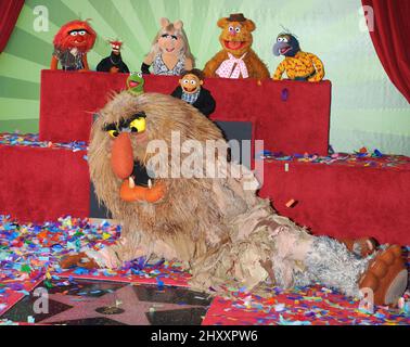 Die Muppets, Tier, Pepe, Miss Piggy, Fozzie, Gonzo, Kermit, Walter und Sweetums bei der Muppets Hollywood Walk of Fame Star Ceremony in Los Angeles Stockfoto