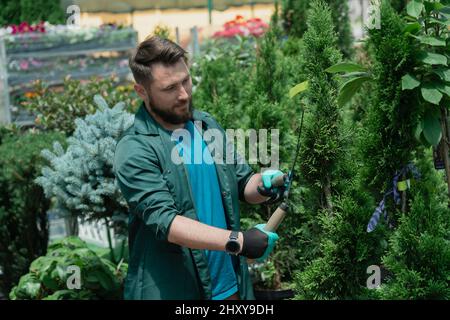 Mann trimmen dekorative Bäume zum Verkauf im Gartengeschäft Stockfoto