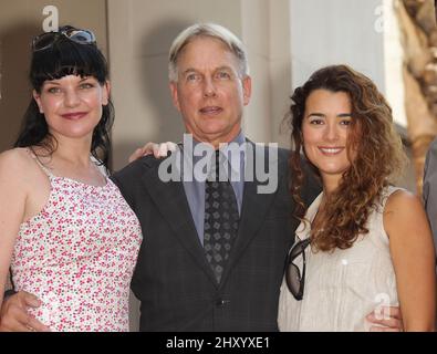 Pauley Perrette, Mark Harmon & Cote de Pablo als Mark Harmon wird auf dem Hollywood Walk of Fame in Los Angeles, USA, mit einem Star geehrt. Stockfoto